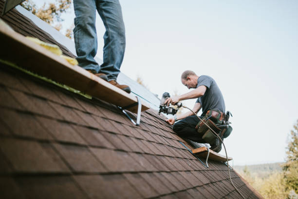 Best Roof Gutter Cleaning  in Hamlet, NC